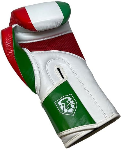 Mexican Pride Boxing Gloves - Invincible Series