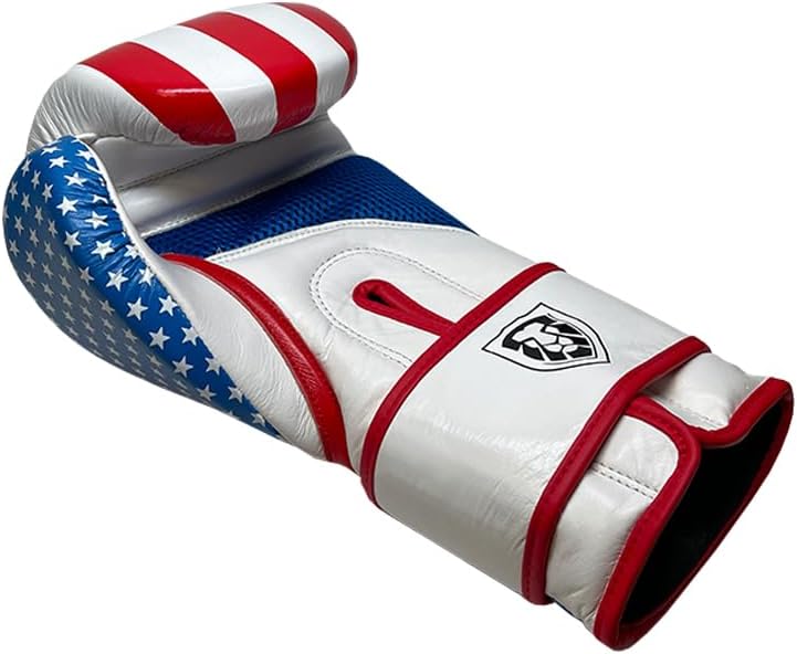 Patriot Power Boxing Gloves - Invincible Series